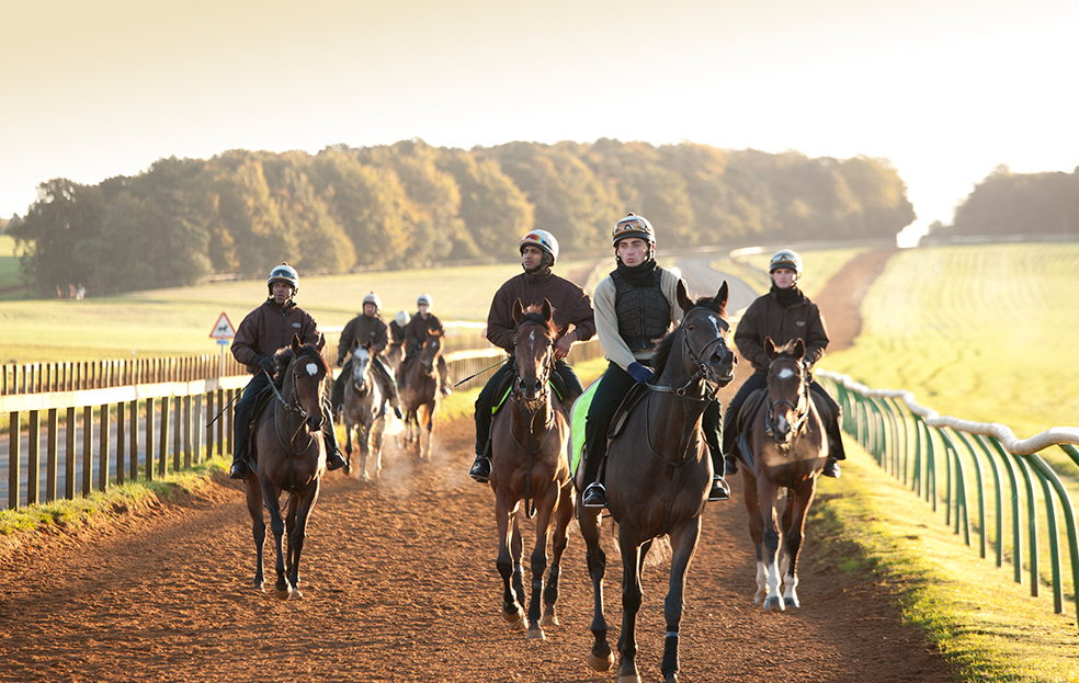Discover Newmarket Tours
