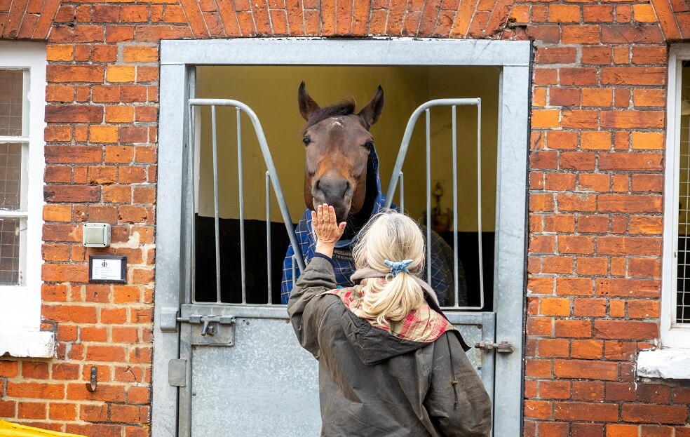 The Ultimate Newmarket Experience