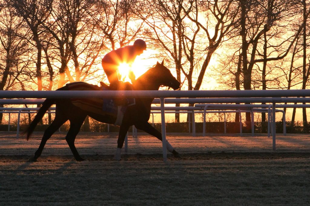 Early Riser Tour